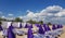 Rows of striped chaise-longues and purple parasols on clear beach sand