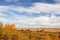 Rows of swathed crop in autumn landscape