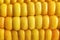 Rows of sweet corn grains background. Close up of yellow succulent corn ear. Corncob texture. Glancing of maize grains