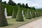 Rows of Topiary Trees with Statues Behind