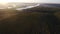 Rows of vineyard before harvesting, drone view