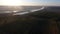 Rows of vineyard before harvesting, drone view