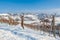 Rows of vineyards covered in snow in Italy.