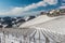 Rows of vineyards covered with white snow