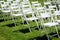 Rows of white folding chairs on lawn before a wedding ceremony in summer