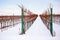 Rows of winter vineyards in Czech Republic