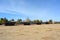 Rows of Wooden shedrow stabling at Twin Rivers Ranch