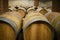 Rows of wooden wine barrels