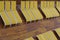 Rows of yellow deckchair