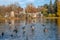 Royal Åazienki, view of the amphitheater from the side of the pond