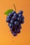 Royal Blue Grapes with Leaf AI Generated