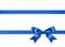 Royal blue silky bow