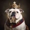 Royal British Bulldog