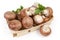 Royal champignon mushrooms with fresh parsley in small wooden basket