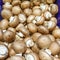 Royal champignons. Group of champignons. Background of fresh champignons. Photo of edible mushrooms. Grocery banner