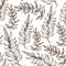 Royal fern leaves, tropical decoration or seaweed seamless pattern