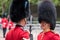 Royal Guard soldiers having an intimate conversation during the Trooping the Colour military ceremony, held once a year in London