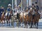 The royal guards sitting on horses protect the swedish royal family sitting in thr royal coach