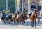 The royal guards sitting on horses protect the swedish royal family sitting in thr royal coach