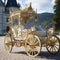 Royal Horse-Drawn Carriage in a Nostalgic Setting