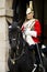 Royal horse guard