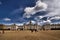 Royal Horse Guards Parade in London