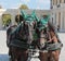 Royal horses at Schonbrunn, Viena