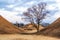 Royal mounds with autumn foliage