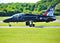 Royal Navy Hawk Jet