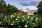 Royal Palace with Blooming Garden in Paris