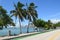 Royal Palm Trees Framing a Distant Miami Skyline