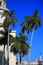 Royal palms near the Capitol in the sunny and the Grand Theater in the background. Paseo de MartÃ­. Havana, Cuba