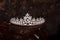 Royal pearl diadem, crown for bride. Wedding, queen