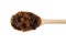 Royal raisins on wooden spoon isolated on white background. Spice and food ingredients