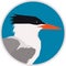 Royal Tern bird Vector illustration Round frame