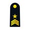 Royal Thai Air Force military rank vector