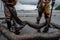 Royal Thai Navy and local volunteers cleaning up a beach from a oil slick on Ao Phrao beach on Samed Island, rayong, Thailand. An