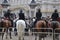 Royal Wedding - Police horses