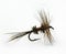 Royal Wulff Trout Fly