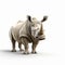 Royalty-free Rhino 3d Images: Realistic Portrayal Of Light And Shadow