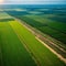 a Royalty high quality free stock image aerial view of rice fields.