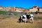 Royuela village Sierra de Albarracin Teruel Spain