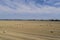 Rround bales in a field