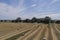 Rround bales in a field