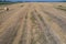 Rround bales in a field