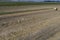 Rround bales in a field