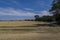 Rround bales in a field