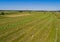 Rround bales in a field