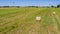 Rround bales in a field