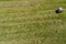 Rround bales in a field